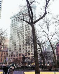 Tree against sky in city