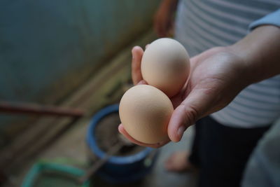 Holding an egg that has just been taken from the cage