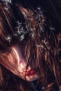 Close up of young woman with dandelion seeds on messy hair