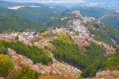 High angle view of trees and mountains