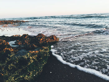 Scenic view of sea against clear sky