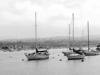 Boats in harbor