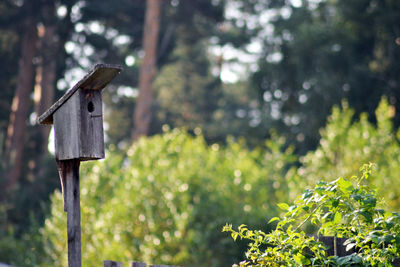 Close-up of birdhouse on wooden post in forest