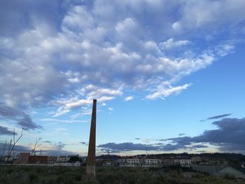 Low angle view of trees against sky