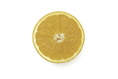 Close-up of lemon slice against white background