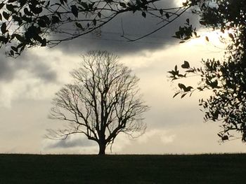 Bare trees on field against cloudy sky