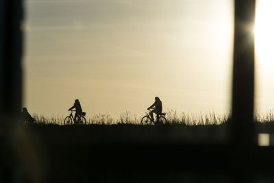 Man riding bicycle in sunset