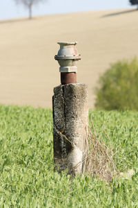 Close-up of old wooden post on field