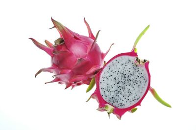 Close-up of fruit against white background