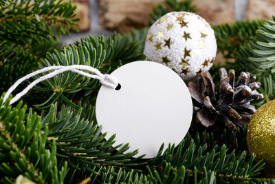 Close-up of christmas decorations