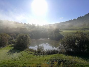 Scenic view of landscape against clear sky