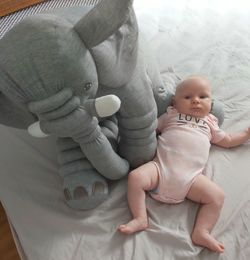 High angle view of cute baby girl with stuffed toy on bed