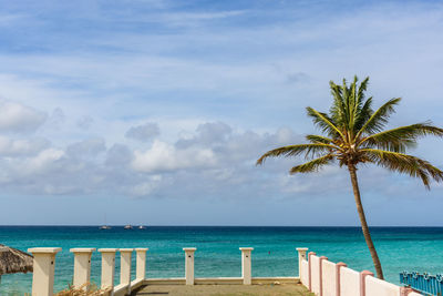 Palm tree by swimming pool against sky