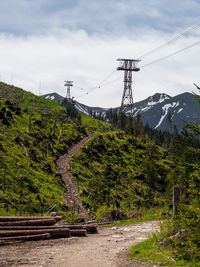 Scenic view of plants and mountains against sky