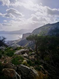 Scenic view of landscape against sky