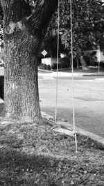 People walking on tree trunk