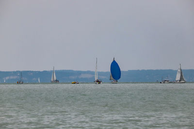 Sailboats sailing in sea against clear sky