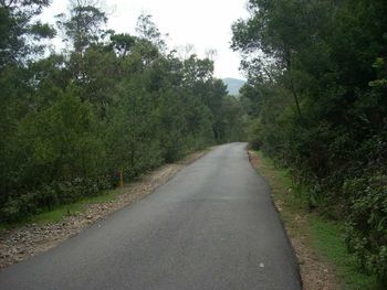 Road amidst trees against sky