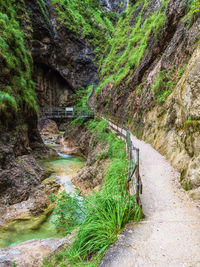 Scenic view of stream flowing through rocks