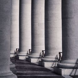 Columns of vatican museums