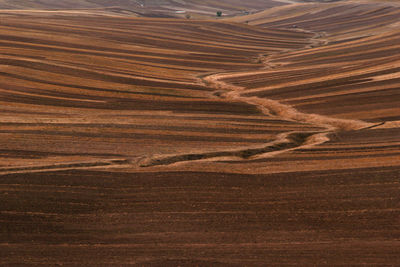Full frame shot of agricultural field