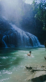 Scenic view of waterfall in forest