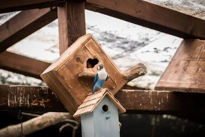 Low angle view of birdhouse on wooden roof