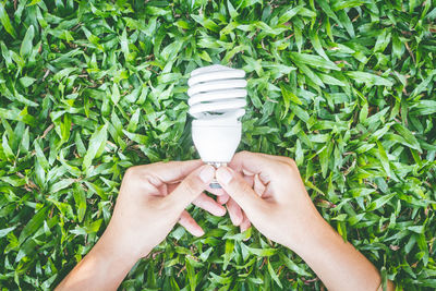 Cropped hands of person holding bulb over plants