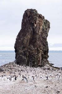 Rock formation on beach against sky