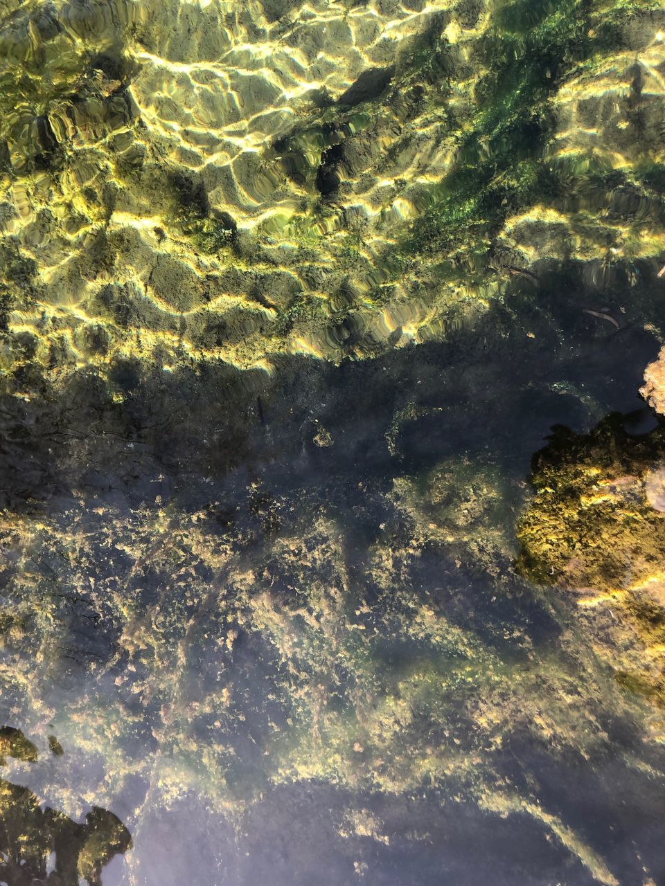 full frame, no people, water, backgrounds, nature, sea, day, beauty in nature, high angle view, sunlight, outdoors, tranquility, transparent, underwater, beach, waterfront, pattern, green color, land, abstract, shallow, purity