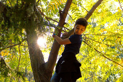 Portrait of boy on tree trunk