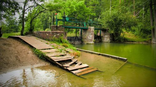 Footbridge over river in forest