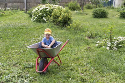 Boy sitting in wheelbarrow on grass