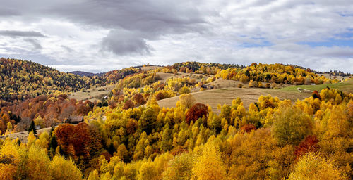 Beautiful autumn landscapes in the romanian mountains, fantanele village area, sibiu county, romania