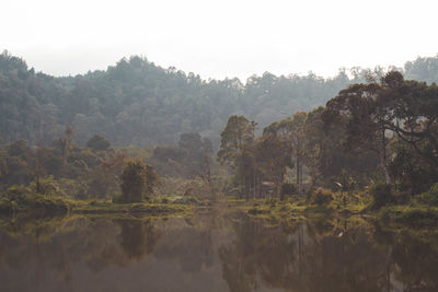 Reflection of trees in lake against sky