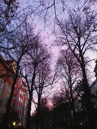 Low angle view of bare trees against sky