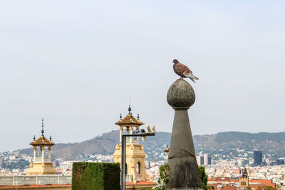 High angle view of bird on building against sky