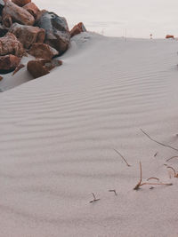 High angle view of rocks on beach