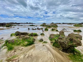 Scenic view of beach against sky