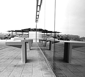 Empty walkway leading to building