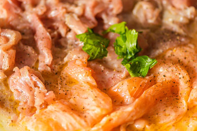 Close-up of meal served in plate
