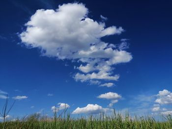 Low angle view of field against blue sky