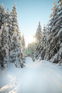 Scenic view of snow covered landscape against sky