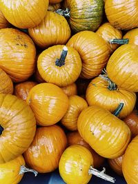 Full frame shot of pumpkins