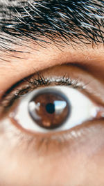 Close-up of woman eye