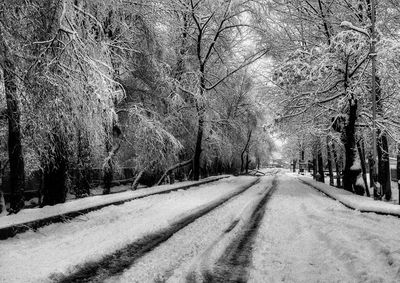 Snow covered road amidst trees in forest