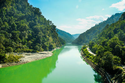 Scenic view of river amidst trees against sky