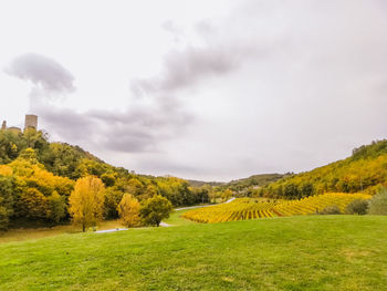 Scenic view of landscape against sky during autumn