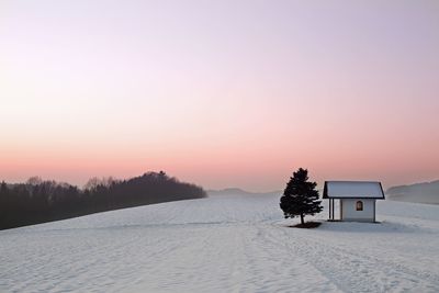 Scenic view of snow covered tree against sky during sunset