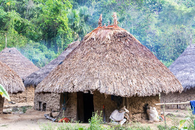 House on field